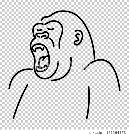 あくびをしている退屈なゴリラの手描き線画イラスト　透過背景の切り抜き 121364578