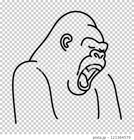 あくびをしている退屈なゴリラの手描き線画イラスト　透過背景の切り抜き 121364579