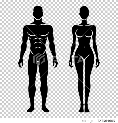 Black silhouette illustration of adult healthy men and women, cut out on transparent background Black silhouette illustration of adult healthy men and women, cut out on transparent background 121364603