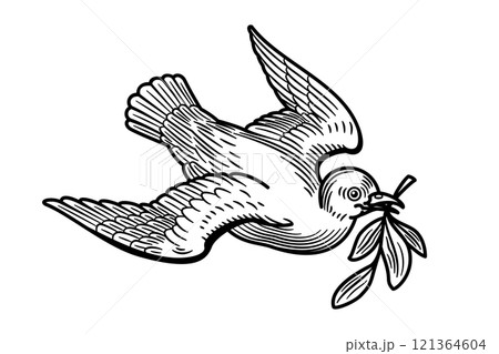 White dove with olive branch, a symbol of peace and pacifism. After the flood, a dove released by Noah returns to the ark with a fresh olive branch in its beak, a sign of peace between God and man. 121364604
