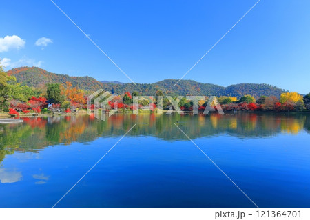 【京都府】シンメトリーな紅葉の大覚寺(大沢池) 【京都府】シンメトリーな紅葉の大覚寺(大沢池) 121364701