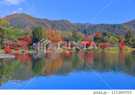 【京都府】シンメトリーな紅葉の大覚寺(大沢池) 【京都府】シンメトリーな紅葉の大覚寺(大沢池) 121364703