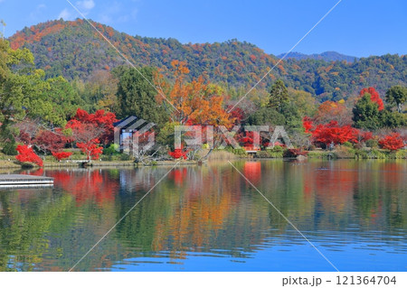 【京都府】シンメトリーな紅葉の大覚寺（大沢池） 121364704