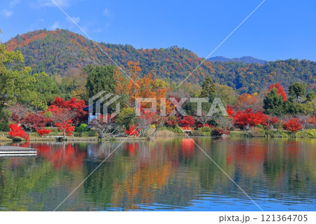 【京都府】シンメトリーな紅葉の大覚寺（大沢池） 121364705