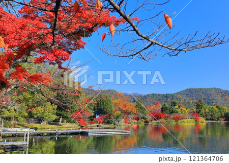【京都府】シンメトリーな紅葉の大覚寺(大沢池) 【京都府】シンメトリーな紅葉の大覚寺(大沢池) 121364706