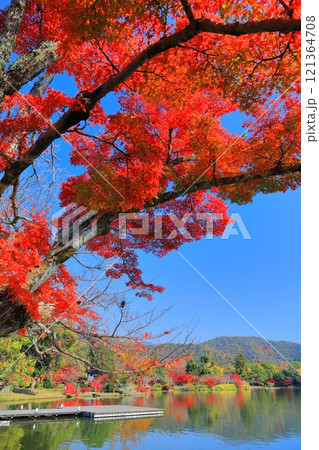 【京都府】シンメトリーな紅葉の大覚寺（大沢池） 121364708