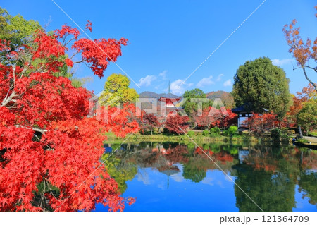 【京都府】シンメトリーな紅葉の大覚寺（大沢池） 121364709
