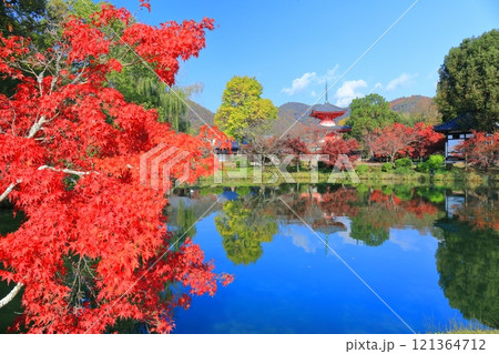 【京都府】シンメトリーな紅葉の大覚寺(大沢池) 【京都府】シンメトリーな紅葉の大覚寺(大沢池) 121364712