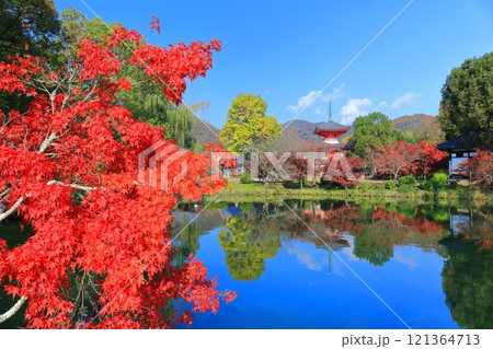 【京都府】シンメトリーな紅葉の大覚寺（大沢池） 121364713