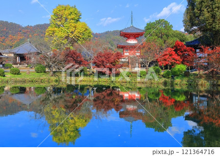 【京都府】シンメトリーな紅葉の大覚寺 心経宝塔（放生池） 121364716