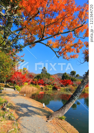 【京都府】シンメトリーな紅葉の大覚寺（大沢池） 121364720