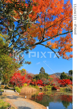 【京都府】シンメトリーな紅葉の大覚寺（大沢池） 121364721