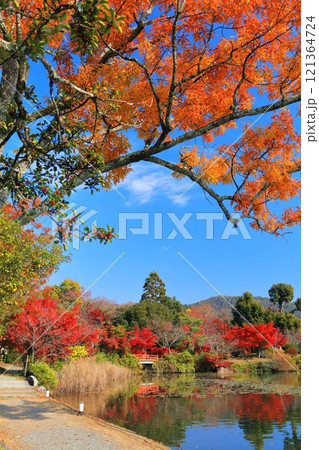 【京都府】シンメトリーな紅葉の大覚寺（大沢池） 121364724