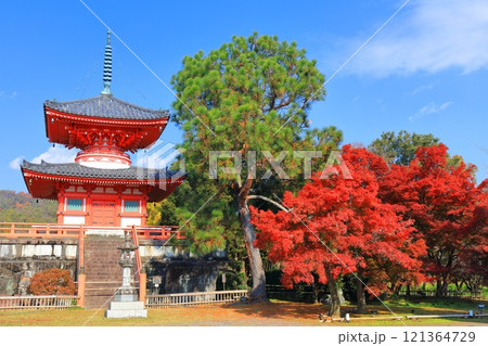 【京都府】快晴の大覚寺 心経宝塔と紅葉 【京都府】快晴の大覚寺 心経宝塔と紅葉 121364729
