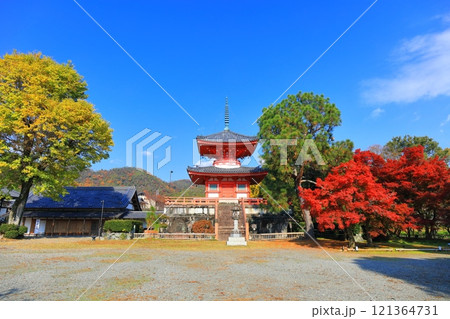 【京都府】快晴の大覚寺 心経宝塔と紅葉 121364731