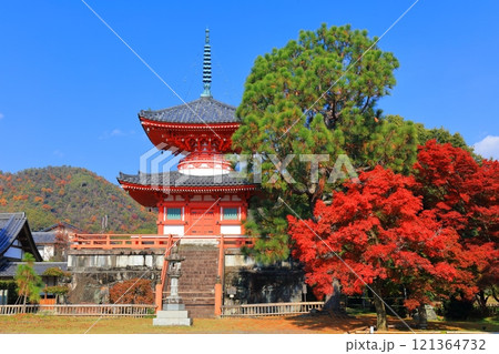 【京都府】快晴の大覚寺 心経宝塔と紅葉 121364732