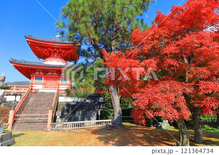 【京都府】快晴の大覚寺 心経宝塔と紅葉 【京都府】快晴の大覚寺 心経宝塔と紅葉 121364734