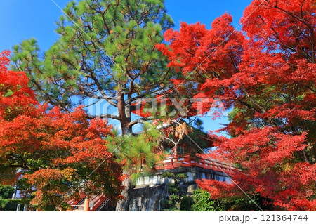 【京都府】快晴の大覚寺 心経宝塔と紅葉 121364744