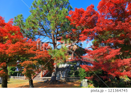 【京都府】快晴の大覚寺 心経宝塔と紅葉 【京都府】快晴の大覚寺 心経宝塔と紅葉 121364745