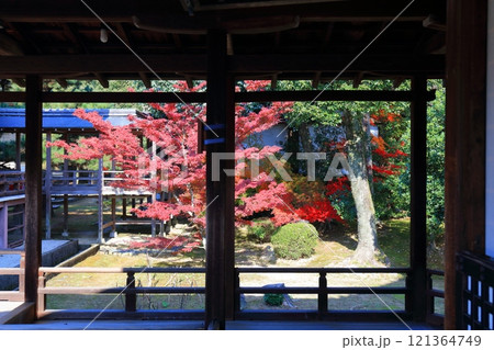 【京都府】快晴の大覚寺の紅葉 【京都府】快晴の大覚寺の紅葉 121364749