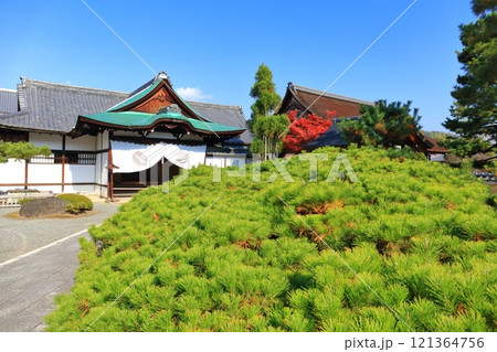 【京都府】快晴の大覚寺の式台玄関 121364756