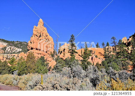 ユタ州 レッドキャニオン 121364955