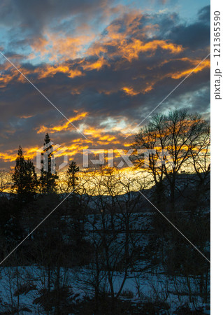 色彩のコントラストが美しい雪国の夕焼け(縦アングル) 色彩のコントラストが美しい雪国の夕焼け(縦アングル) 121365590