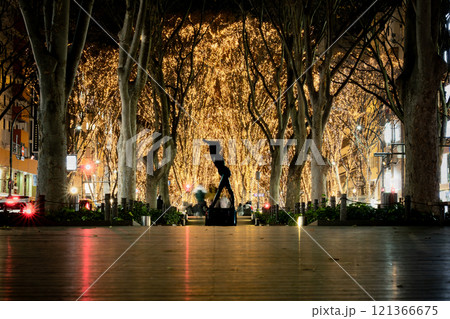 仙台光のページェント定禅寺通り 121366675