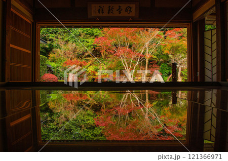 寿福寺の逆さ紅葉 寿福寺の逆さ紅葉 121366971