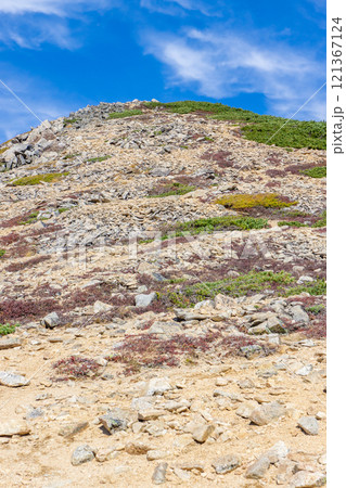 東天井岳の山頂部　北アルプス　大天井岳パノラマ銀座縦走登山 121367124