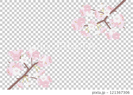 Cherry background Cherry background 121367306