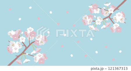 花びら舞う青空の桜の背景 121367313
