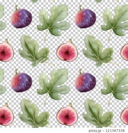 Ripe fresh figs with green leaves watercolor seamless pattern on white. Purple red summer fruits repeat background in realistic botanical style. Hand drawn autumn harvest illustration 121367336