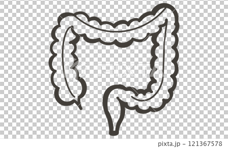 象徵大腸的圖標、消化系統的簡單設計和健康管理 121367578