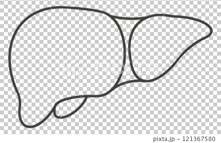 象徵肝臟的圖標，健康和代謝功能的簡單表示 121367580