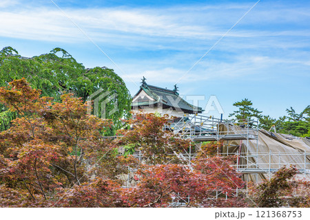 津軽氏城跡　弘前城（史跡）　天守（重文）　青森県弘前市 121368753