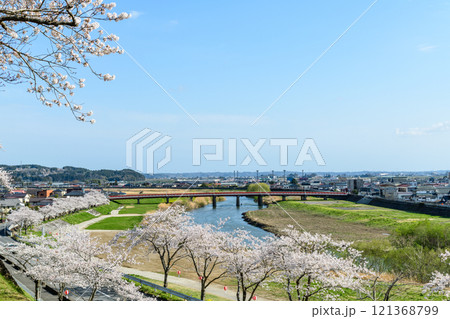 春 涌谷城　満開の桜 121368799