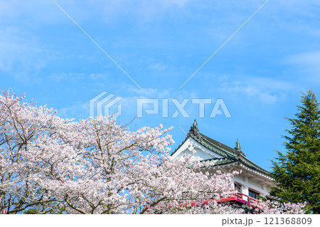 春 涌谷城 満開の桜 春 涌谷城 満開の桜 121368809