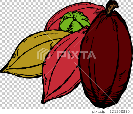 手描き　ひとまとまりのカカオ 121368850