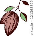 手描き　カカオと葉っぱ 121368899