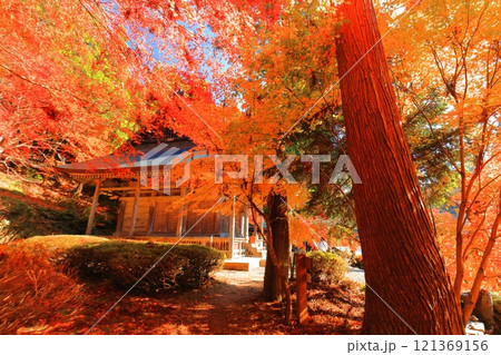 【滋賀県】晴天の石道寺の紅葉(鶏足寺) 【滋賀県】晴天の石道寺の紅葉(鶏足寺) 121369156