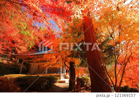 【滋賀県】晴天の石道寺の紅葉(鶏足寺) 【滋賀県】晴天の石道寺の紅葉(鶏足寺) 121369157