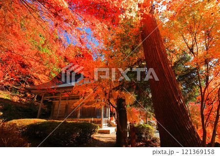 【滋賀県】晴天の石道寺の紅葉(鶏足寺) 【滋賀県】晴天の石道寺の紅葉(鶏足寺) 121369158