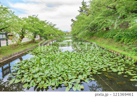 津軽氏城跡 弘前城(史跡) 弘前公園 青森県弘前市 津軽氏城跡 弘前城(史跡) 弘前公園 青森県弘前市 121369461