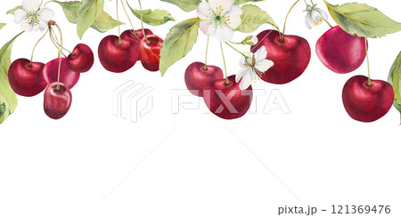 Sweet sour red cherry with green leaves, white flowers, hand drawn in watercolor, berry in clusters on branches. Seamless banner garland illustration for restaurant, cafe menu, wedding, farmers market 121369476