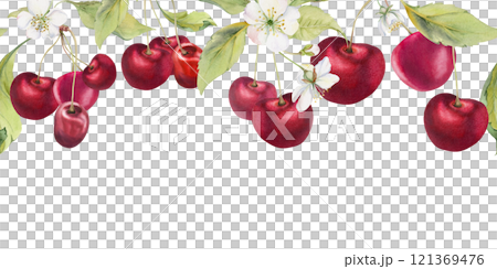 Sweet sour red cherry with green leaves, white flowers, hand drawn in watercolor, berry in clusters on branches. Seamless banner garland illustration for restaurant, cafe menu, wedding, farmers market 121369476
