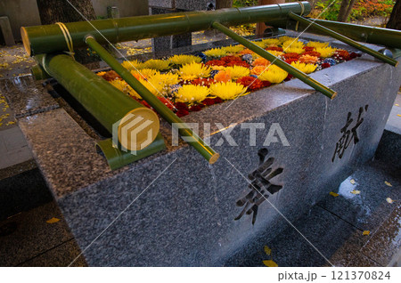 現人神社(那珂川市)の手水舎 現人神社(那珂川市)の手水舎 121370824