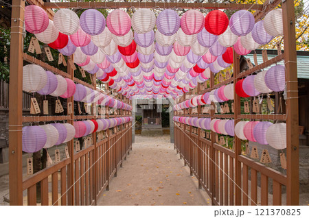 現人神社(那珂川市)のぼんぼり 現人神社(那珂川市)のぼんぼり 121370825