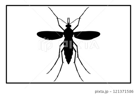 Black silhouettes of mosquito in different poses isolated on white background, The Best Mosquito icon 121371586