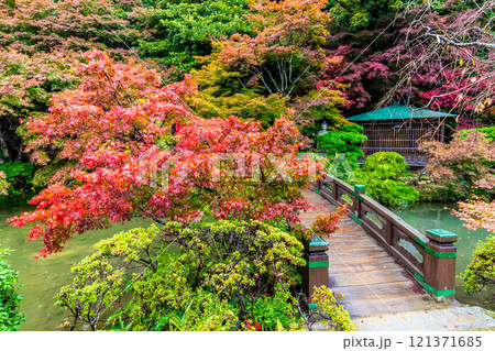 長府庭園の紅葉【山口県下関市】 121371685